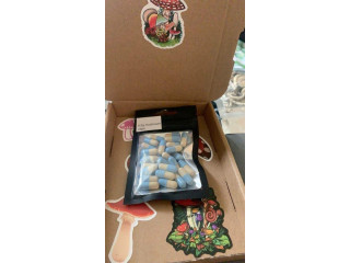 Buy Bulk PSYCHEDELIC, MDMA, CRYSTAL METH, DMT Carts::WhatsApp : +237687053999